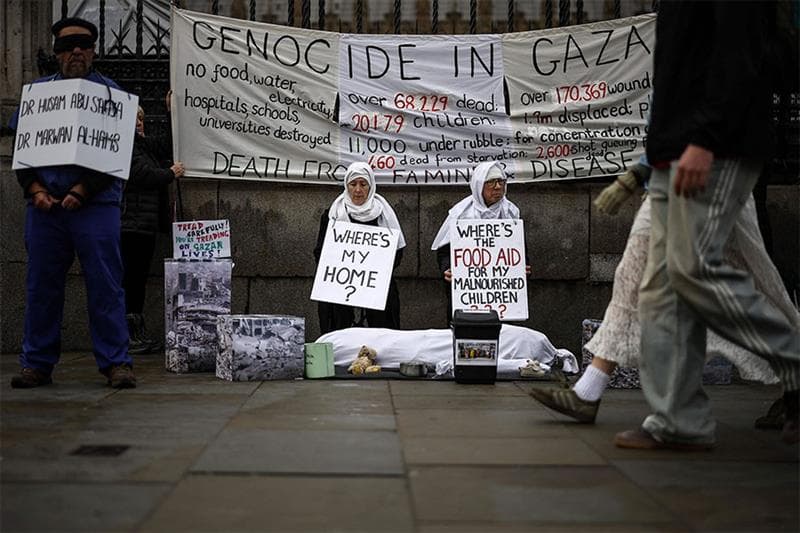 Egypt Leads Regional Stability as Gaza Crisis Tests Global Order