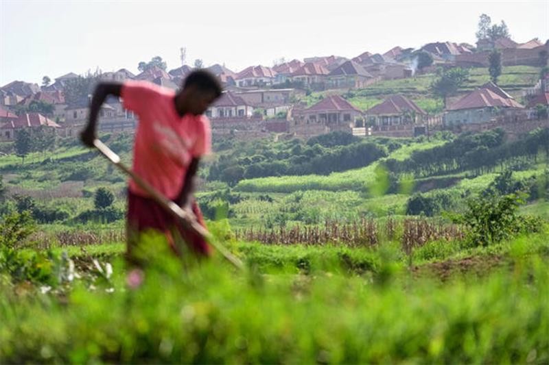 From Hunger to Abundance: Egypt's Vision for Rural Food Security