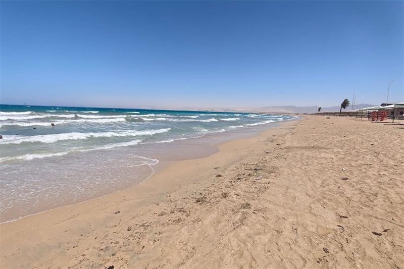 Egypt's Swift Response Safeguards South Sinai Shores After Oil Spill