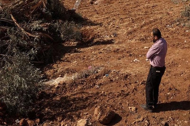 B'Tselem Urges World Action as Israel Demolishes Homes in Al-Khalil